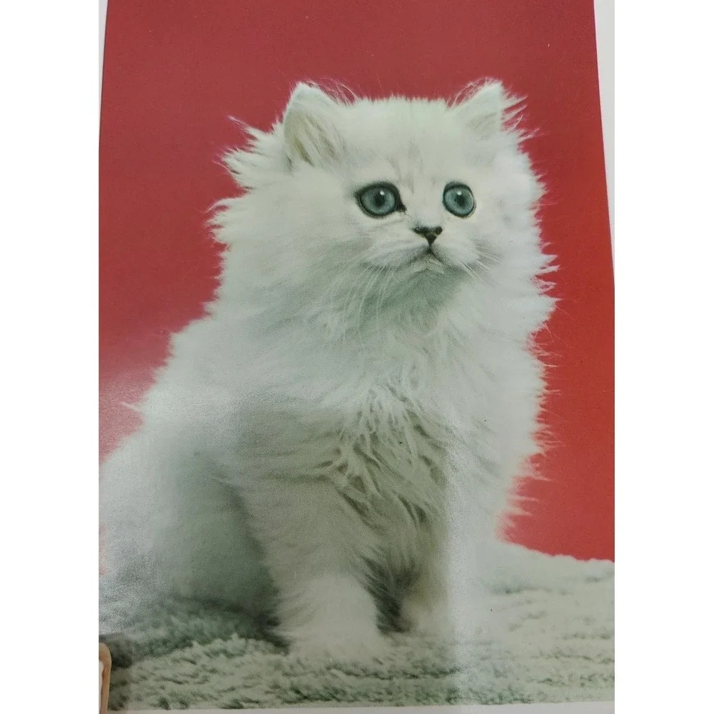 7 Old‎ Vintage Used Greeting Card Fronts Christmas Cute Kawaii cat dog Snowman